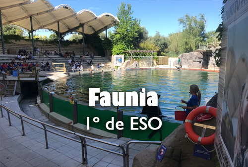 FAUNIA