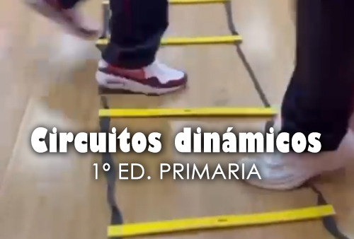 1ºB mejora su condición física con circuitos dinámicos