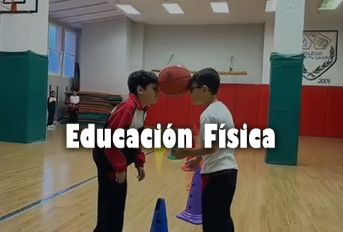 🏀✨ ¡En Educación Física aprendemos mucho más que a jugar!